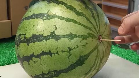 山东网红吃瓜猛料黄料,吃瓜猛料，黄料大揭秘！